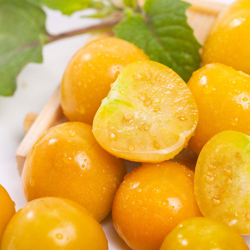 菇娘万家东北灯笼果大黄洋菇特产姑娘新鲜水果其它