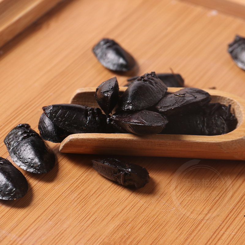 云南九香虫中药材野生九香虫500g包邮正品打屁虫屁巴虫臭壳子虫