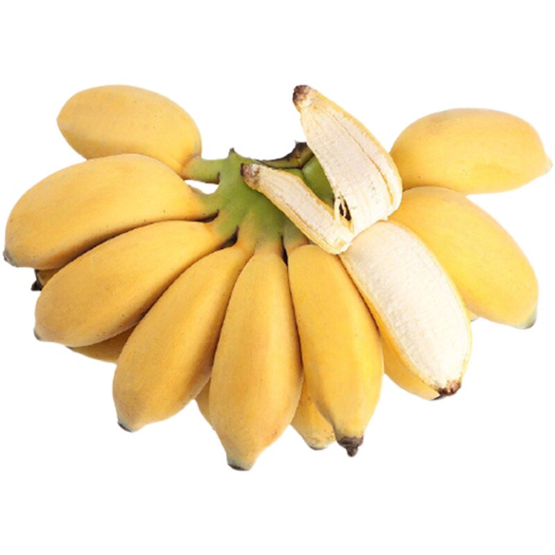苹果粉蕉顺丰水果香蕉芭蕉小米福建正宗5斤香蕉