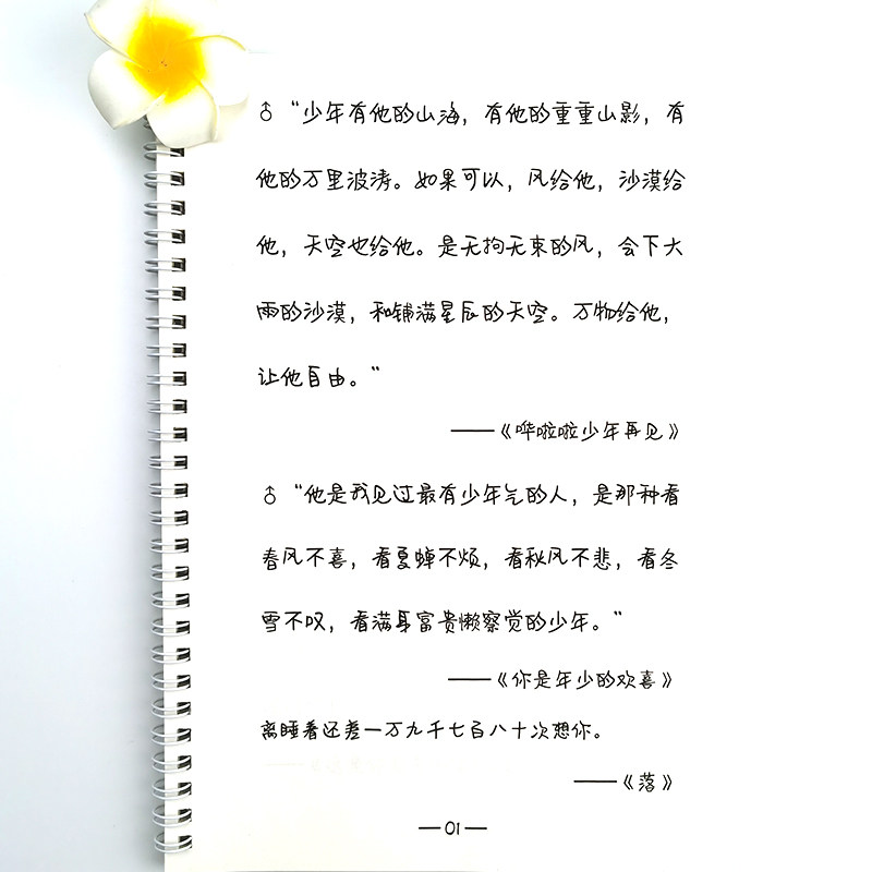 奶酪字帖临摹成年人大学生练字牛奶硬笔书法描红男女练字本