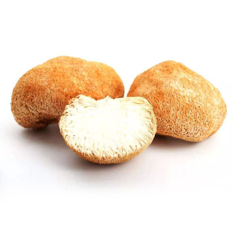 猴头菇干货500g农家土特产特级野生猴头菌新鲜干侯头姑养胃包邮