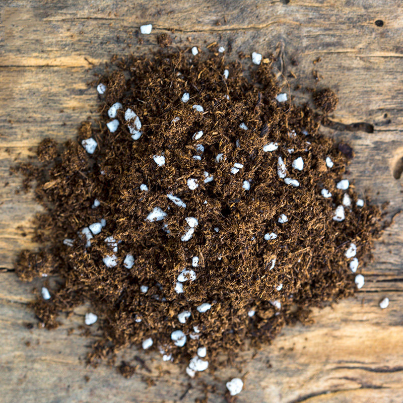 多肉土营养土花土大包进口泥碳土多肉植物盆栽肥料花卉通用花陌派