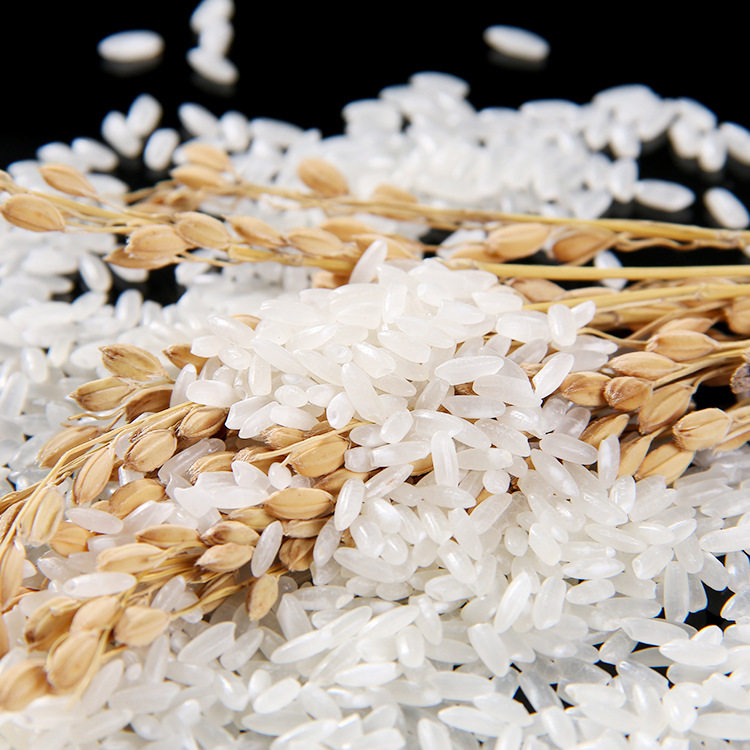 长粒东北五常香米10斤农家自产大米新米产区大米