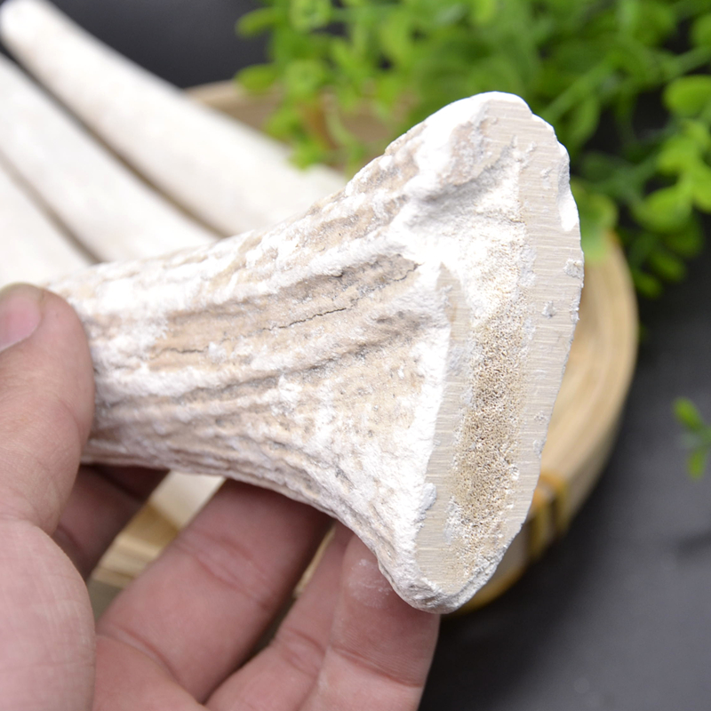 同仁堂中药材 鹿角霜500克包邮 鹿角片骨 古琴鹿角霜 免费磨粉