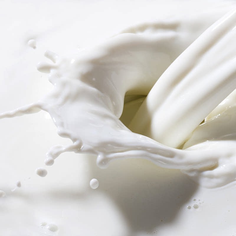 烘焙伊利纯牛奶1l早餐咖啡打奶泡餐饮用牛奶纯牛奶