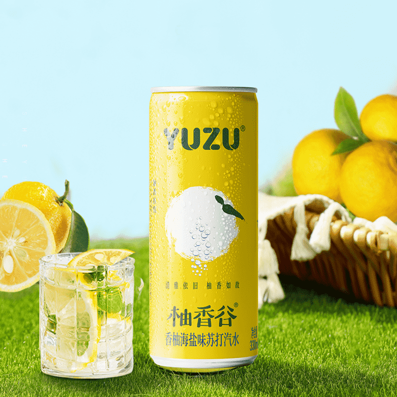柚香谷海盐味汽水饮料气泡水330ml*2罐_热品库_性价比 省钱购