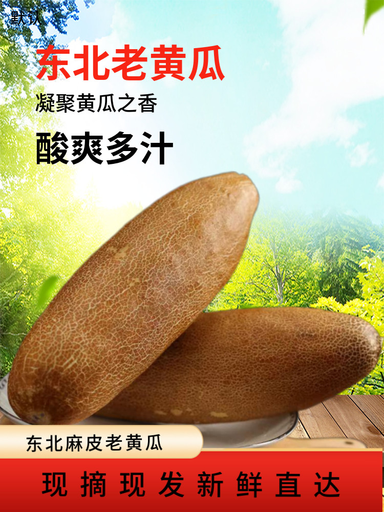 东北老黄瓜农家特产新鲜麻皮老黄瓜大黄瓜煲汤凉拌酸黄瓜新鲜蔬菜