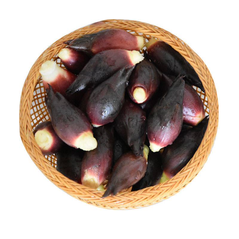 新鲜洋藿现货新品蔬菜食用野生阳荷姜阳姜野良其它