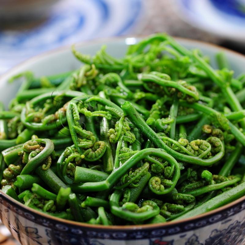 蕨菜内蒙古克旗特产野生山新鲜山野菜袋装保鲜满五袋特色干货及养生