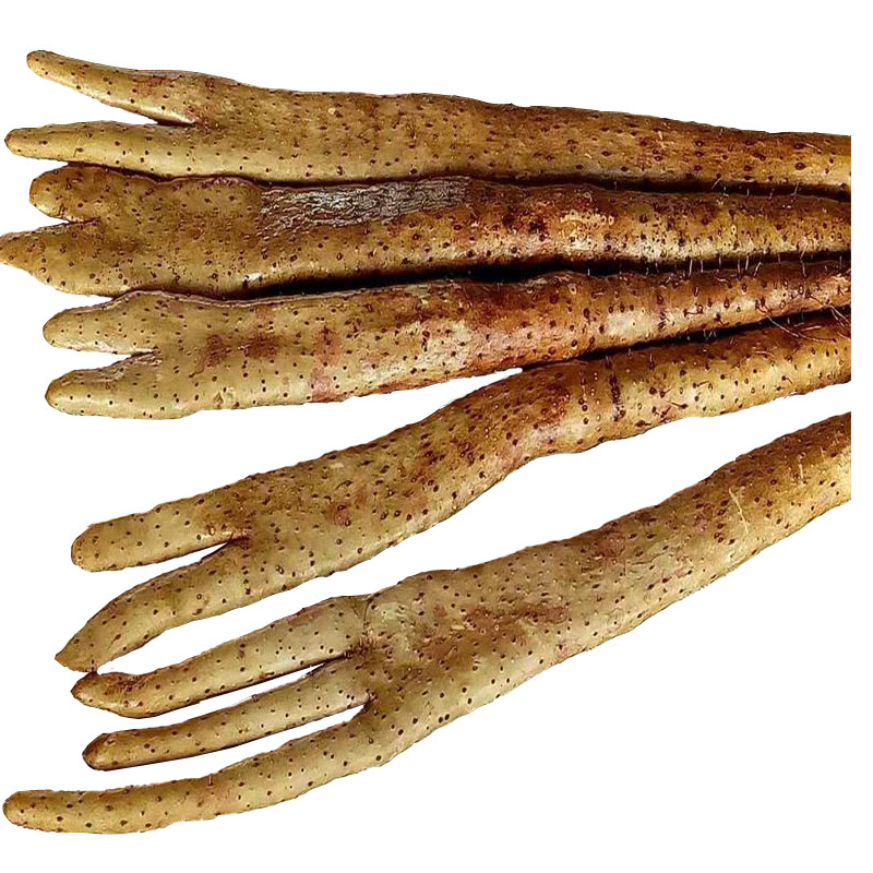 山药铁棍佛手铁杆小白嘴白5斤装包邮粉香甜新鲜山药