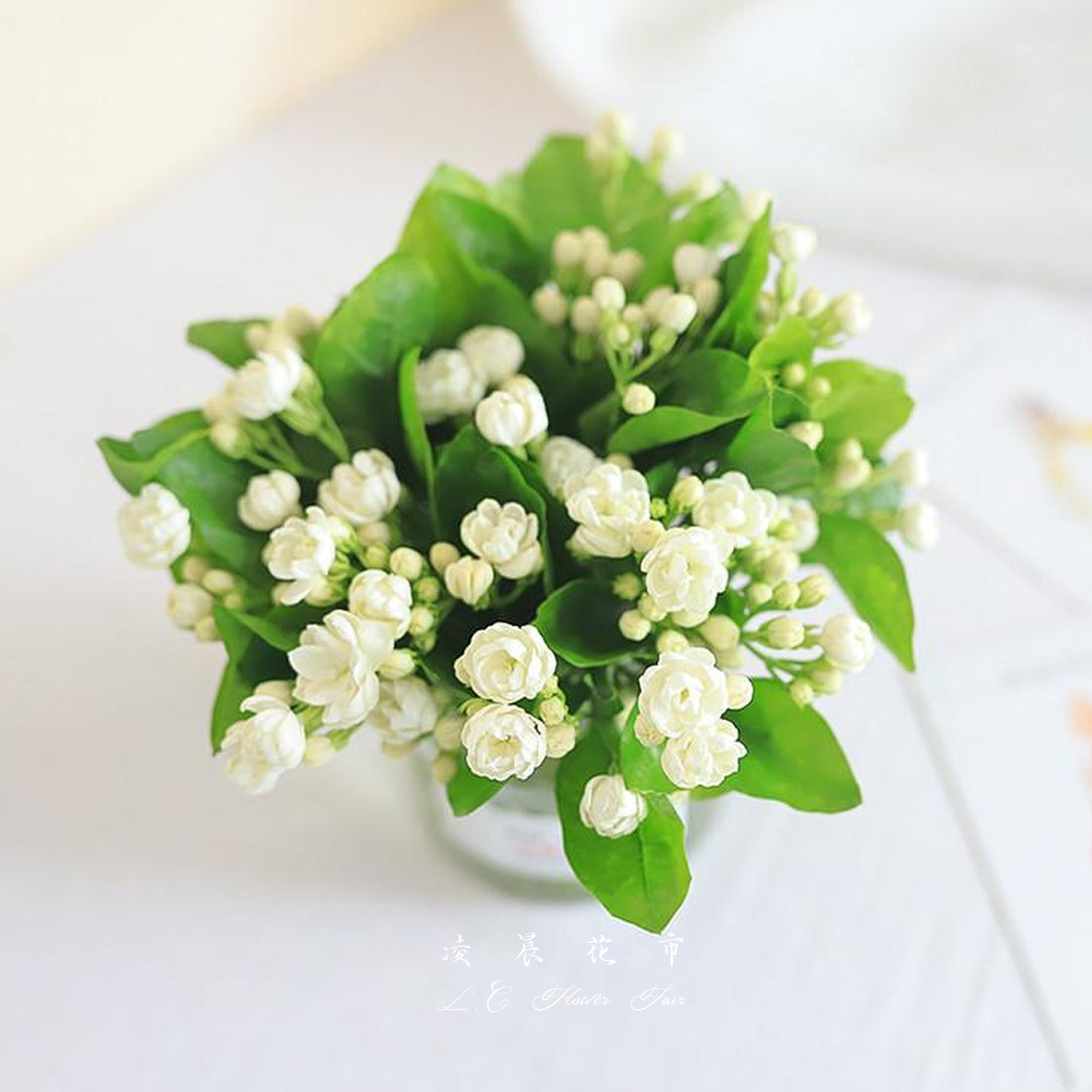 茉莉花鲜花水养家用插花办公送礼花束低价直批包鲜花速递同城