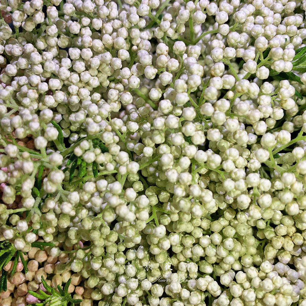 米花鲜花配花水养插花家用办公室花束低价直批包邮北京同城可闪送