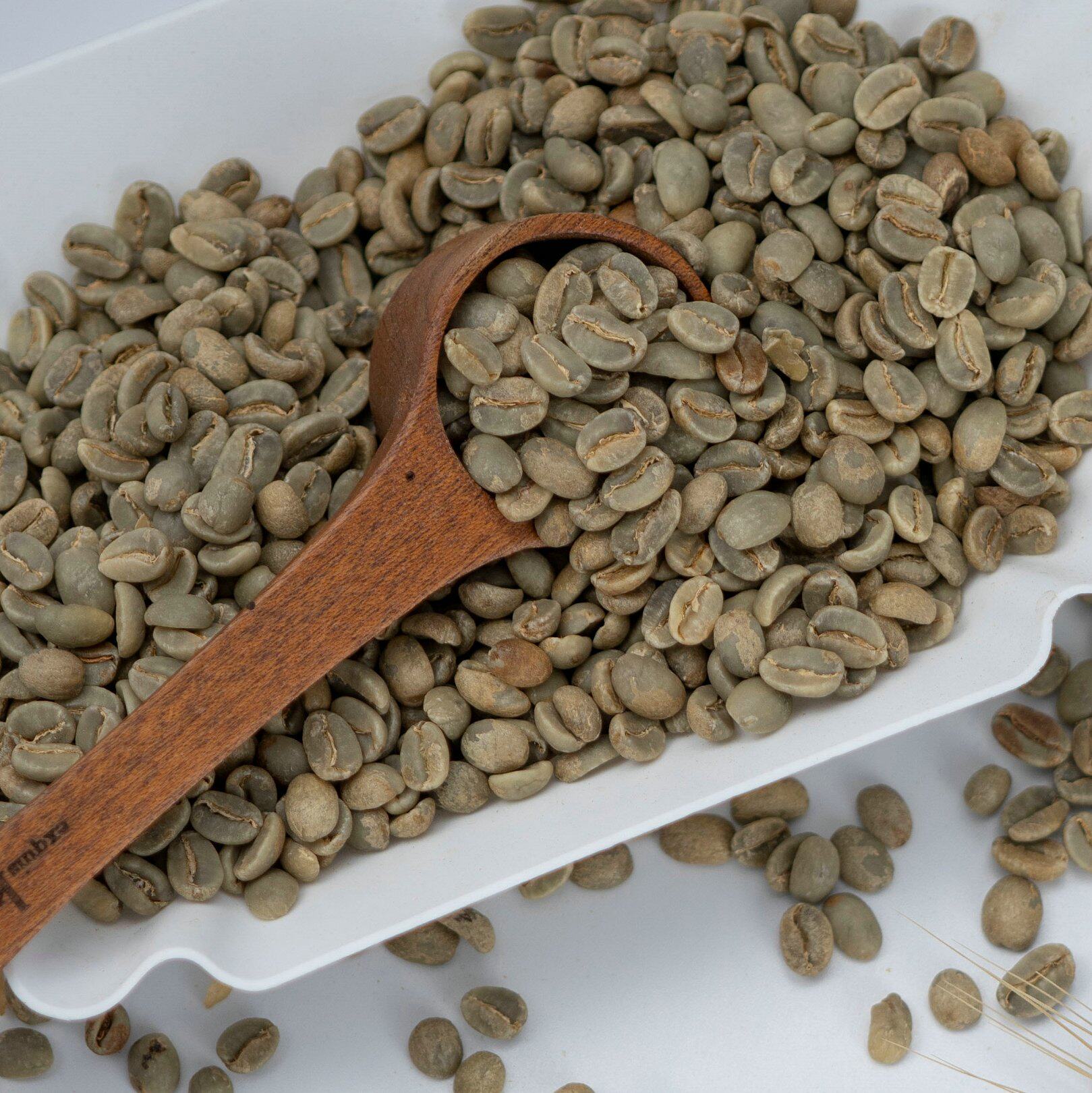 空运年产1kg印尼进口手冲咖啡生豆花岛瑰夏咖啡豆