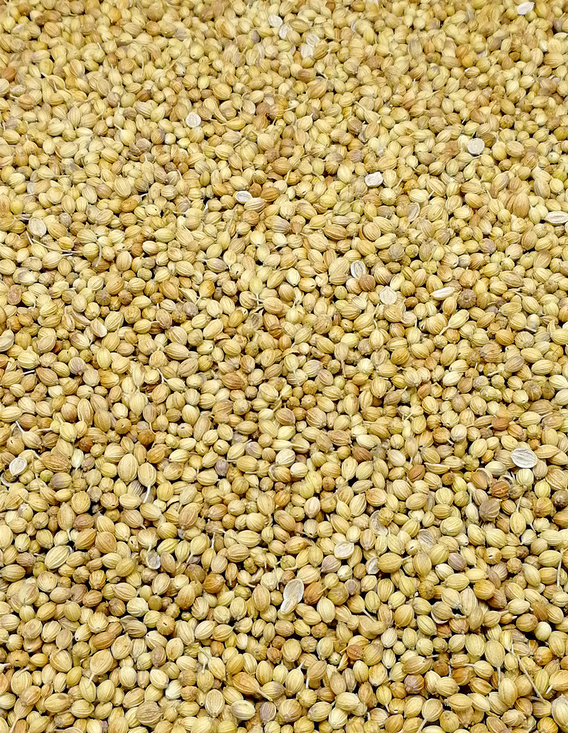 香菜籽香籽芫荽子粉芫茜种子香料大全调味品散装卤料做菜调料50克