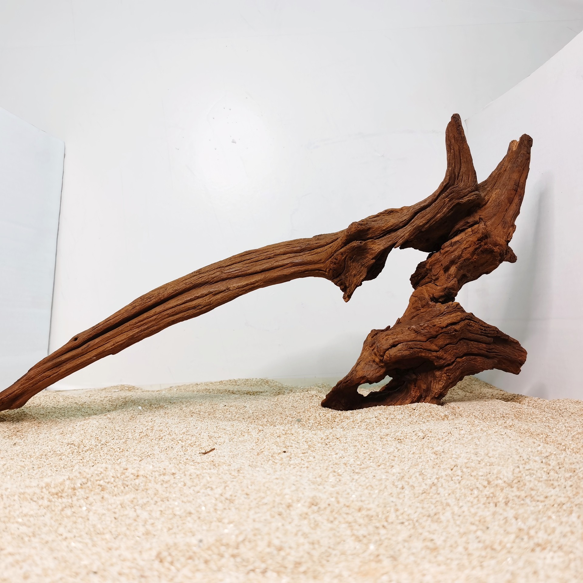 造景沉木大号柚木天然鱼缸免煮树桩晒龟台水族箱造景