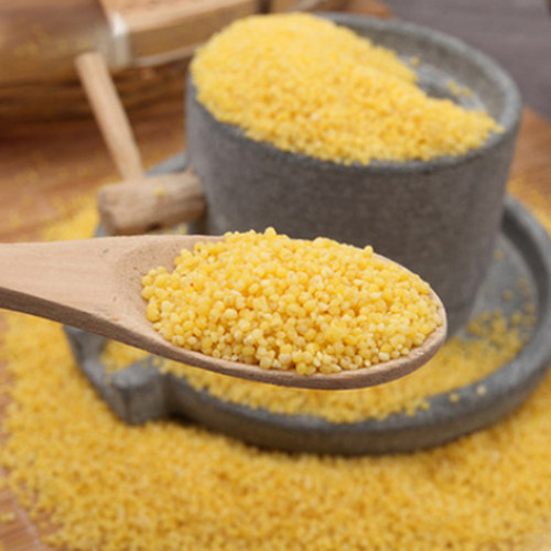 金宝敖汉小米5斤袋装金苗k1小米