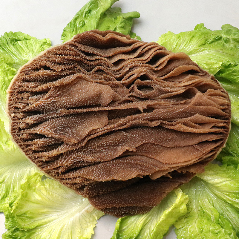 底板毛肚5斤新鲜冷冻水发毛肚可撕片重庆火锅食材毛牛杂类