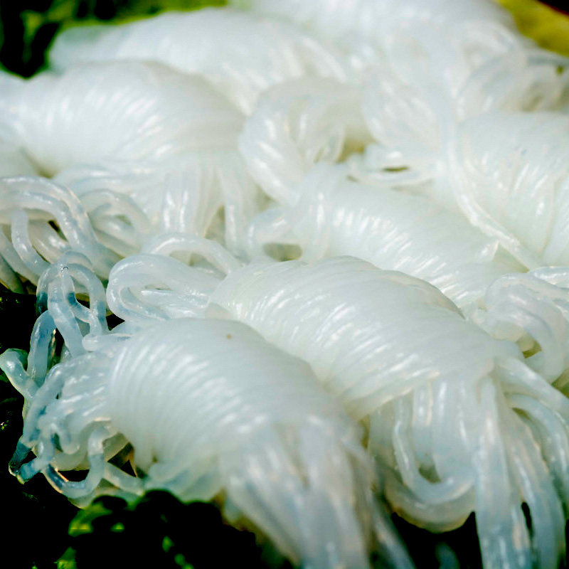 魔芋丝结粉丝160g健康芋丝即食速食火锅关东冲泡方便面