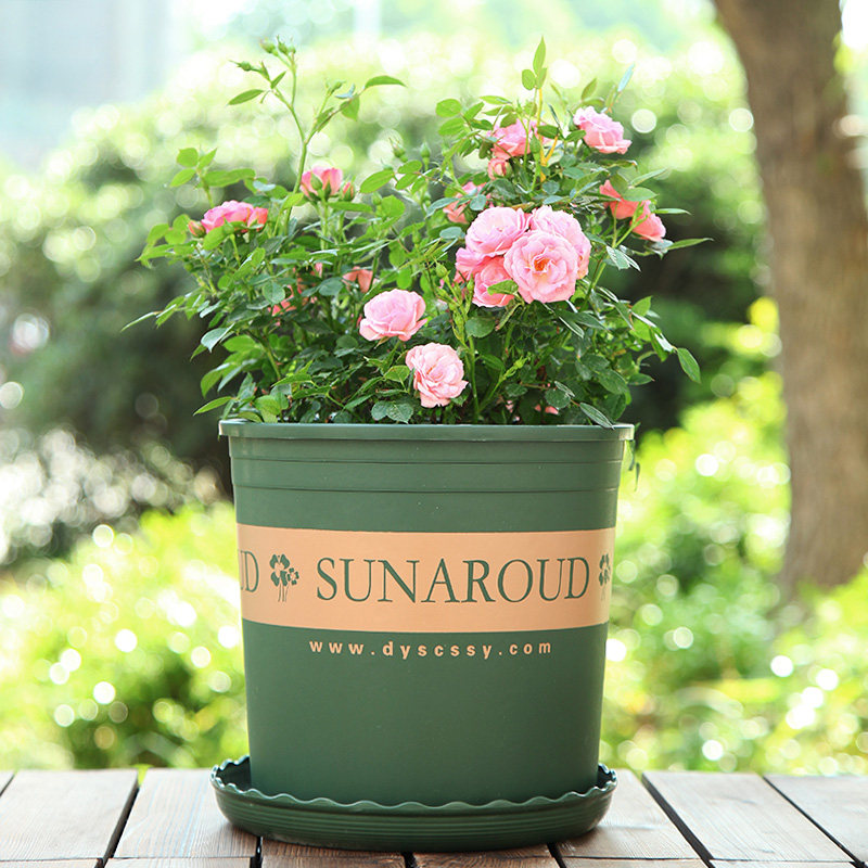 花盆塑料正品加仑全新材质环保型阳台植物月季花盆