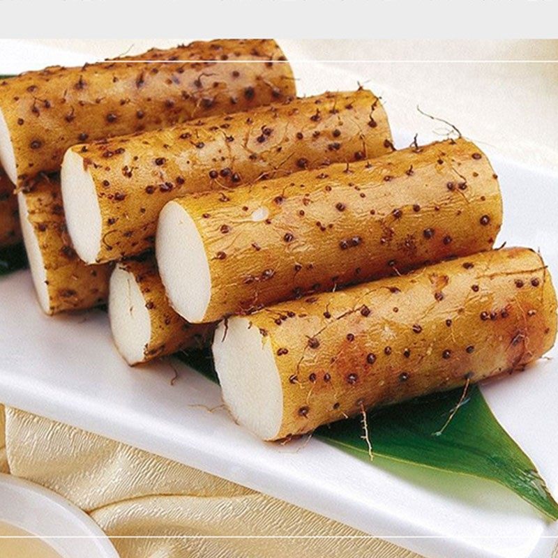 正宗新鲜铁棍白玉山药密云农家自种现挖现发新鲜山药