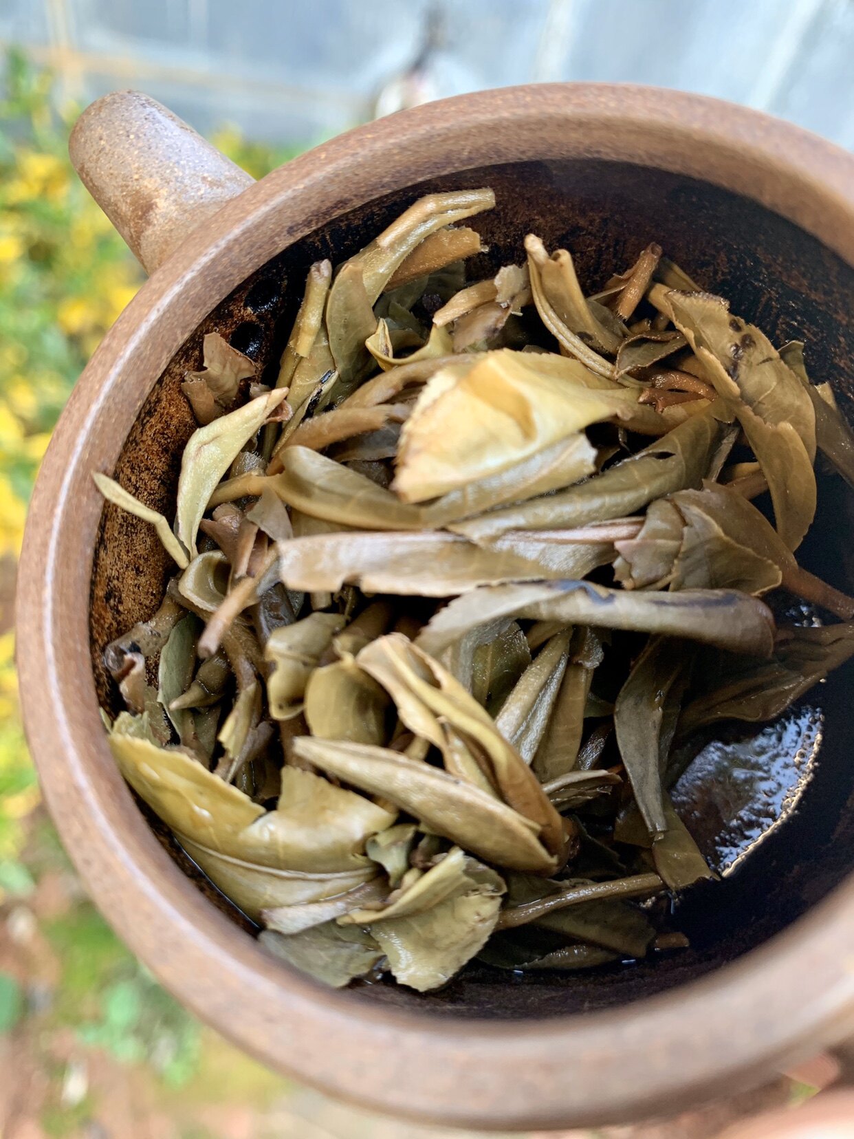 2014云南南普洱生茶曼撒薄荷塘200g古树茶头普洱