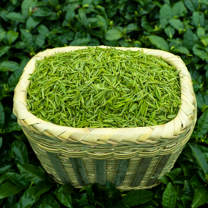 遂茗2020新茶江西遂川狗牯脑绿茶叶贡品特级其它绿茶