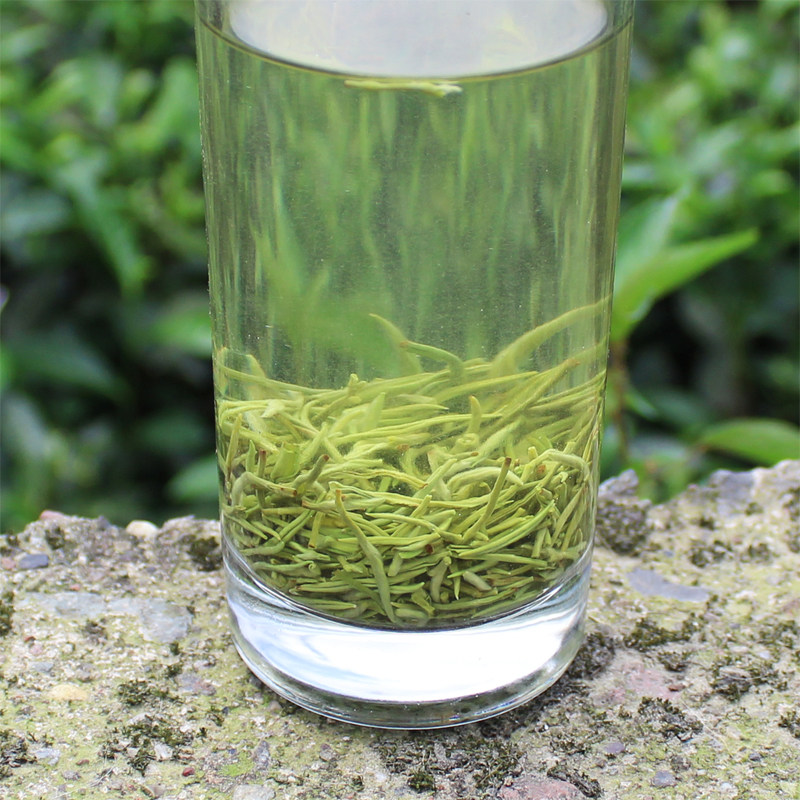 茶叶2020新茶四川顶山毛尖绿茶浓香香型明前其它绿茶