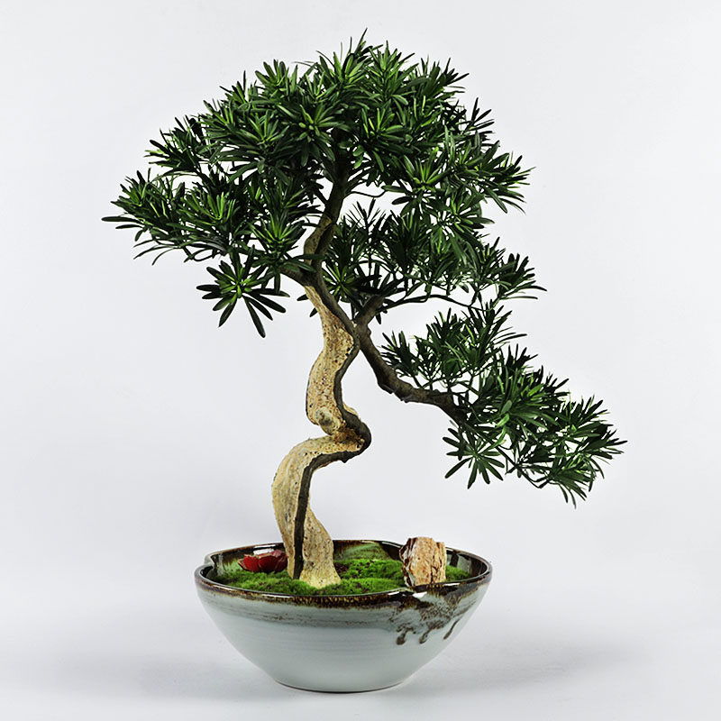 新中式样板盆景植物绿植软装售楼处房间样板房酒店摆件