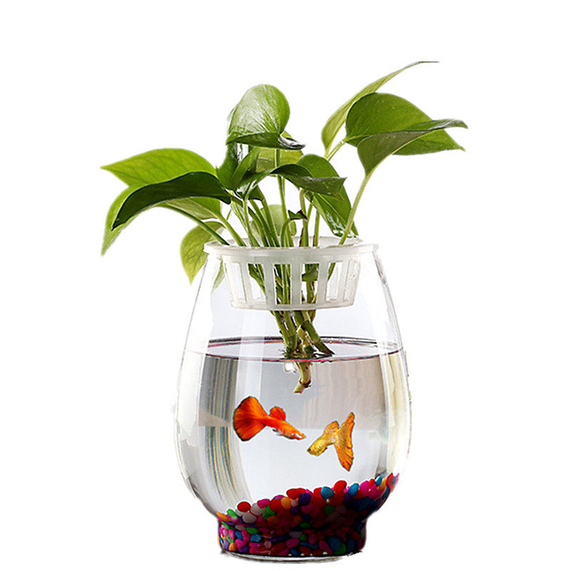 包邮家居饰品鱼缸金鱼缸造景水族箱花盆透明绿萝观音花瓶