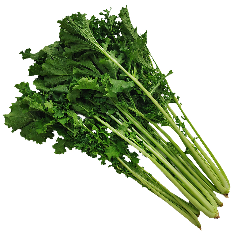 雪里红雪菜新鲜雪里蕻菜小青菜叶菜类蔬菜春不老腌制咸