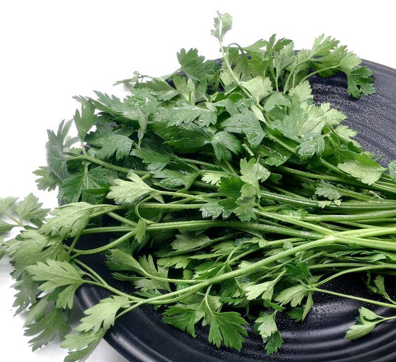 欧芹parsleyitalian意番香芹洋芫荷兰250g其它