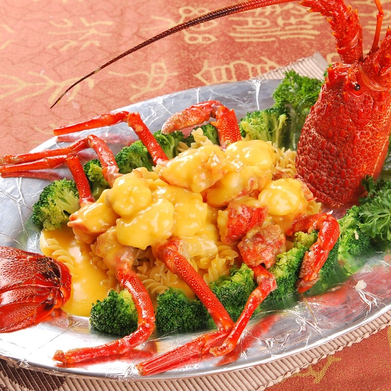 澳龙鲜活红龙波士顿青岛特大澳洲大龙龙虾海新鲜活虾