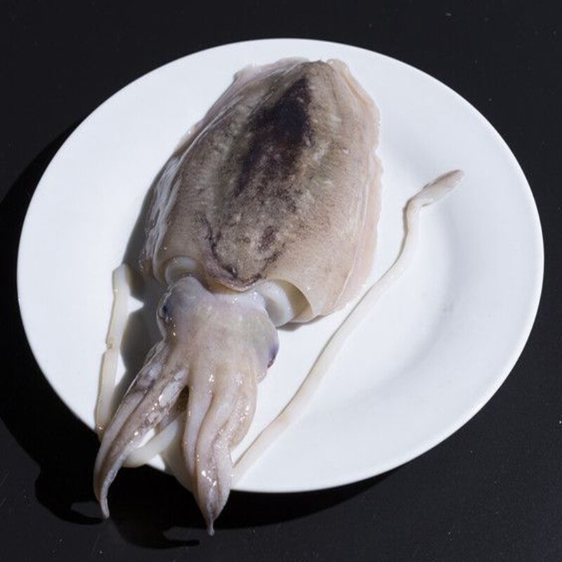 大墨墨鱼新鲜冷冻乌贼墨鱼海水产墨斗鱼2份顺丰冷冻墨鱼