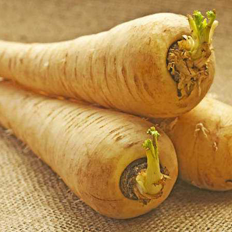 新鲜美啊防风蔬菜欧洲萝卜500g萝卜