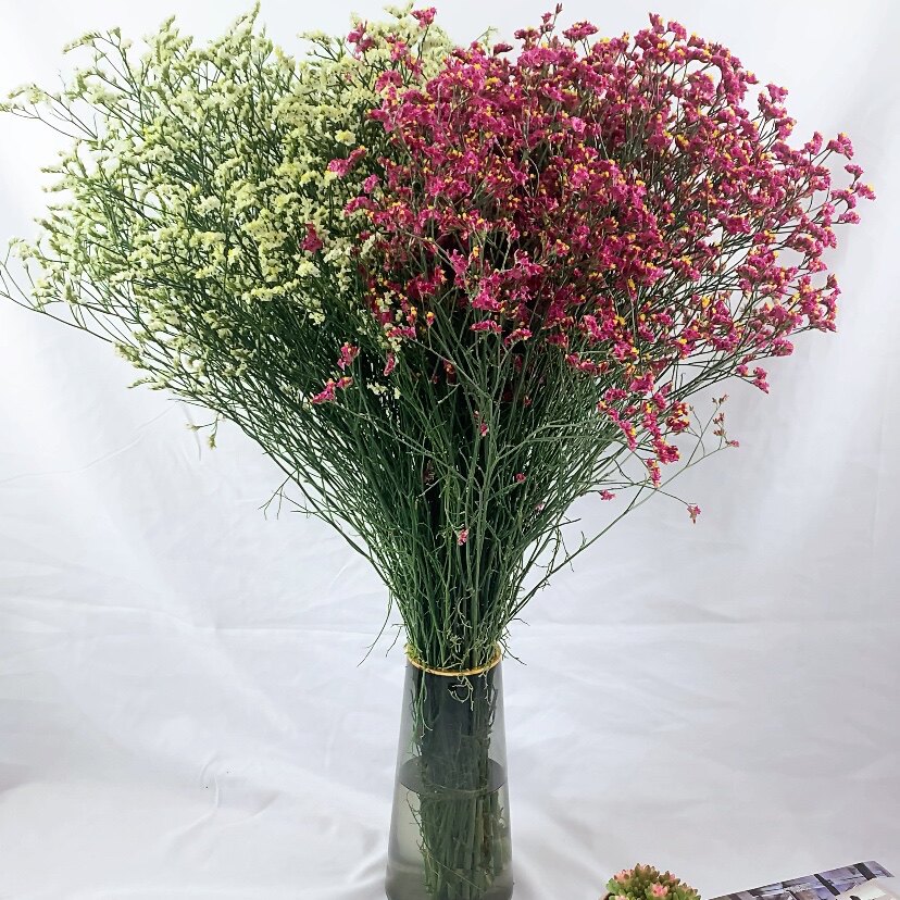 昆明情人草水晶新鲜云南基地地直发花花束搭配鲜花速递同城