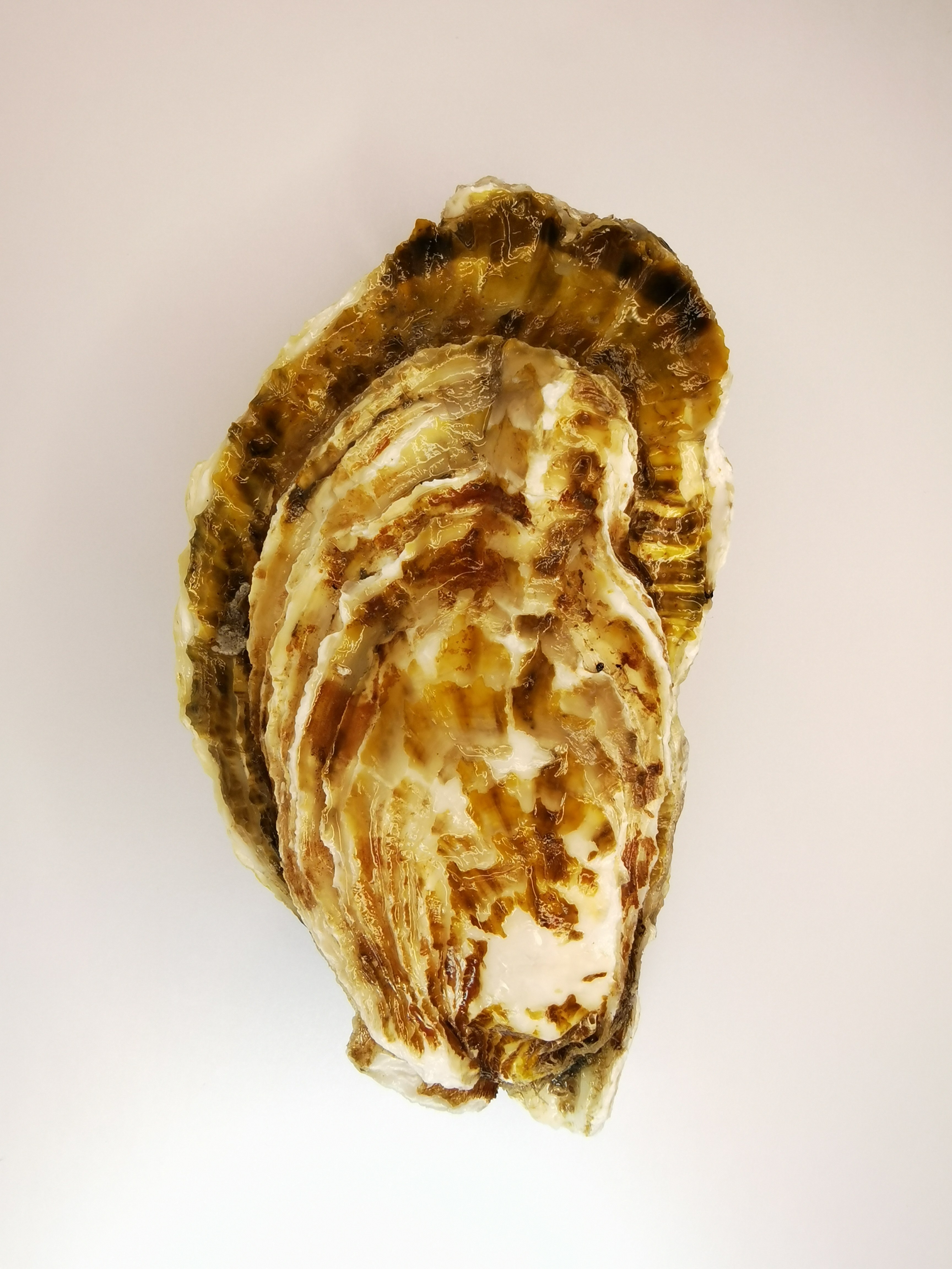 乳山56两推荐品包单品包生蚝10斤贝壳海鲜牡蛎生蚝