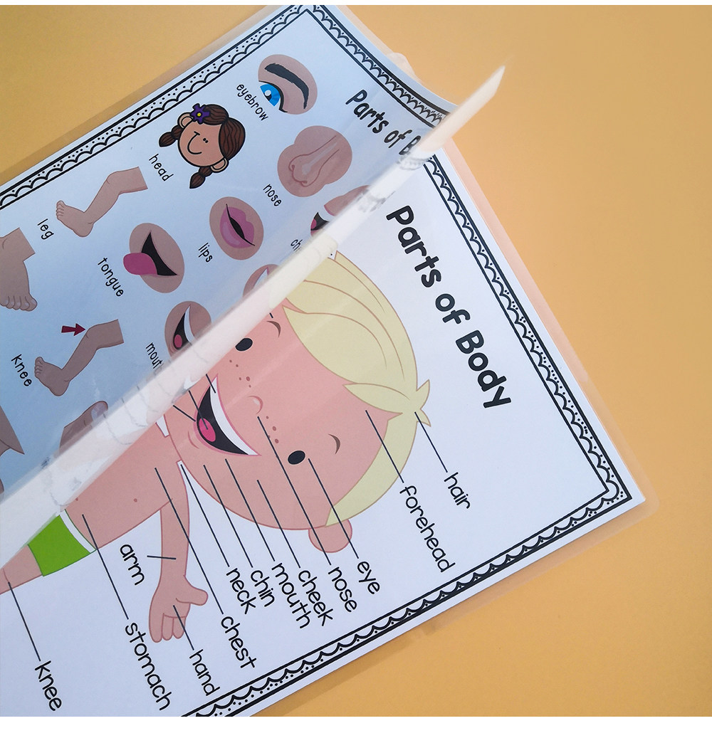 幼儿园早教童房墙面装饰海报bodyparts身体部位a4塑封一套2张