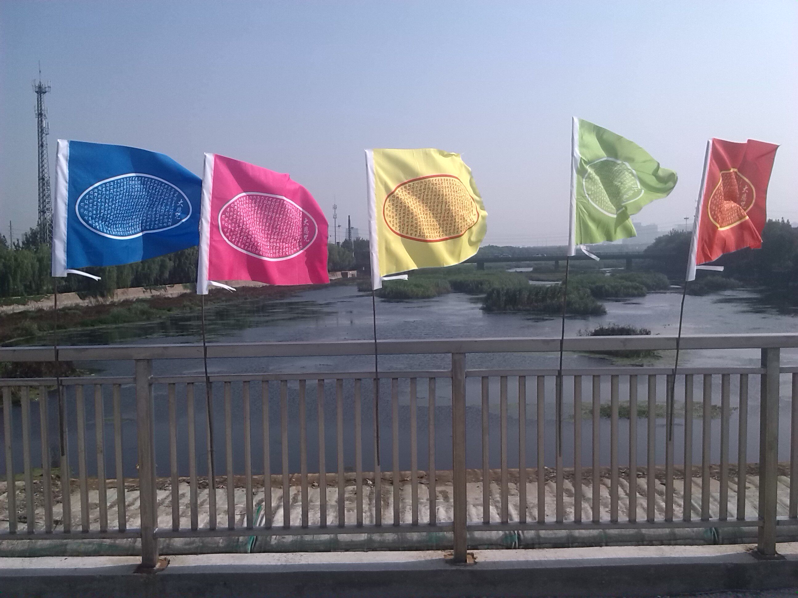 大号大悲咒新款五种颜色梵文经旗功德经幡风马竖旗美观大方包邮