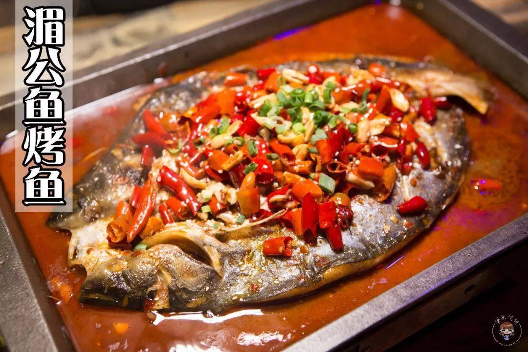 腌制江苏省新款中国大陆湄公9001000g烤鱼开背芒鱼巴沙鱼