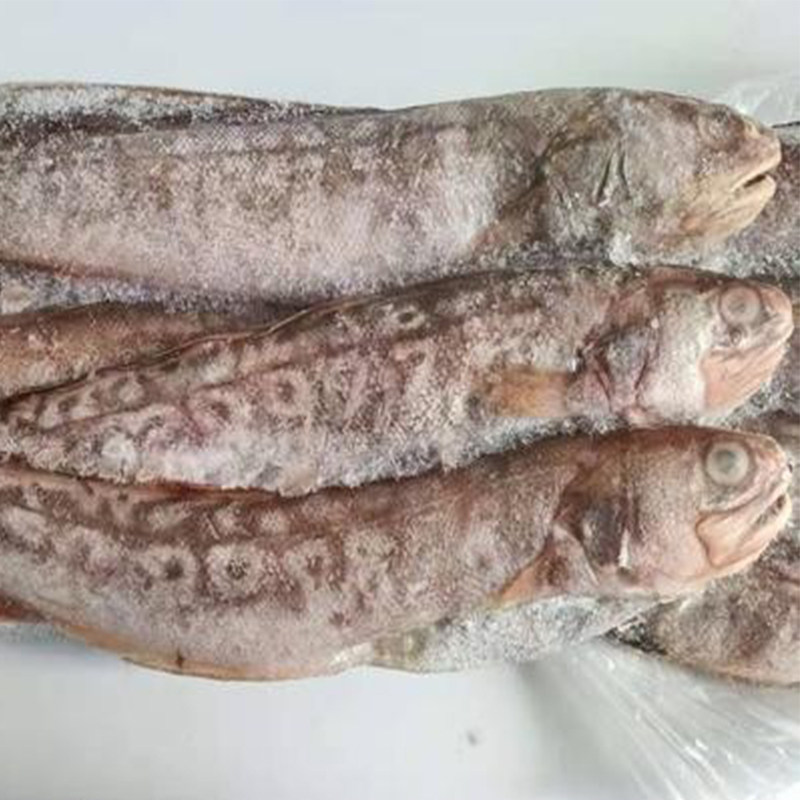 凤尾鱼蛇头煎鱼炸鱼冷冻水产海鲜小吃烧烤食材其它