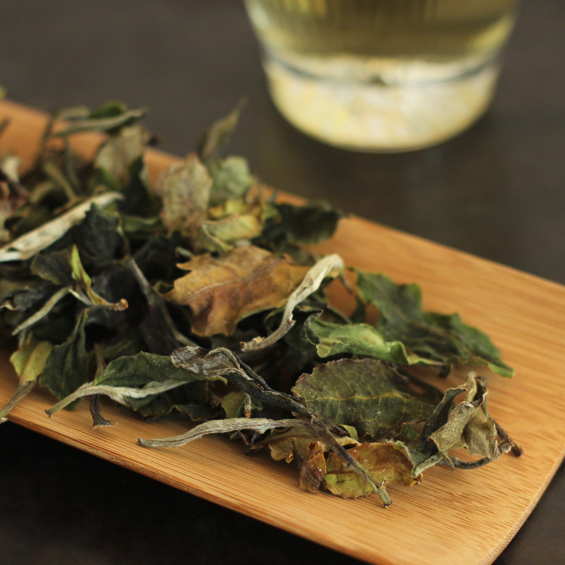 静山2021云南古树白茶清甜厚实大理苍山白茶野其它白茶