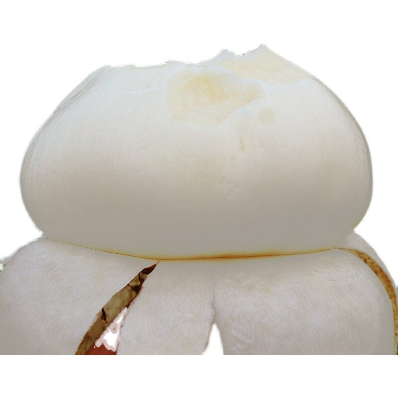 白地瓜地瓜赣州脆甜瓜白沙葛多汁农家5斤番薯番薯