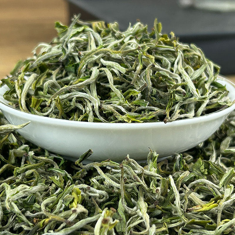 君点2023新茶云南普洱春尖银毫绿茶珍品一级散茶特色产区绿茶