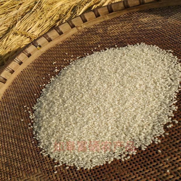 南粳3908大米江苏新米粳米抛光一级如皋农家大米