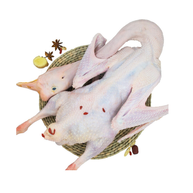 农家笨大鹅新鲜皖西散养大白鹅肉皖西白条鹅整箱20kg