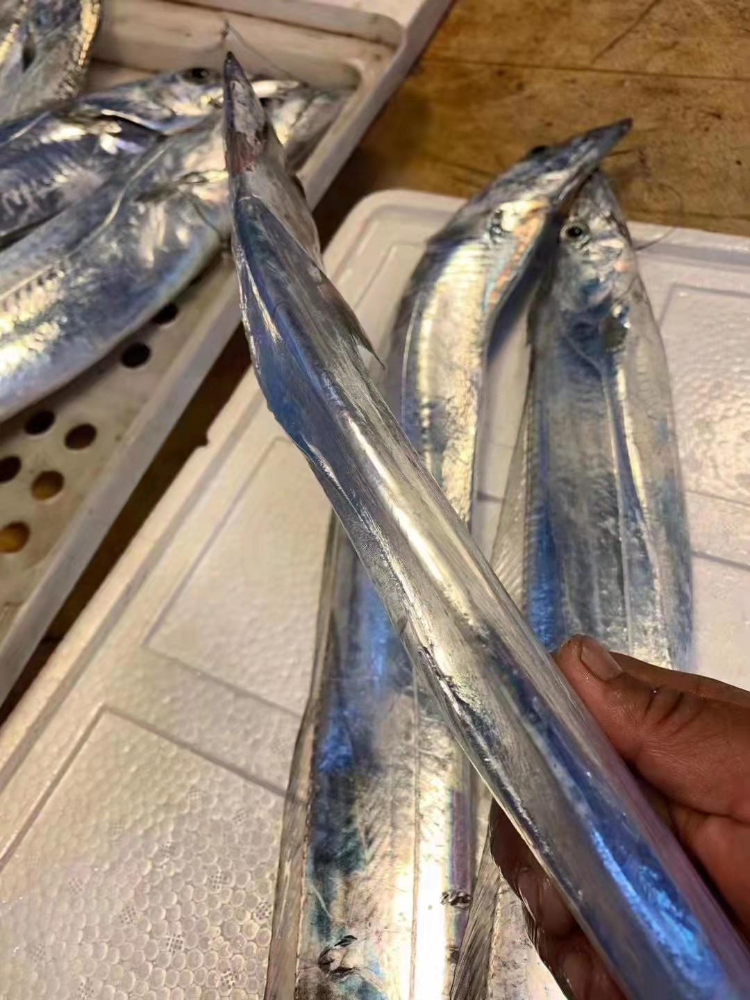 带鱼特大号海钓福建连江新鲜东海整条刀鱼海鲜带鱼