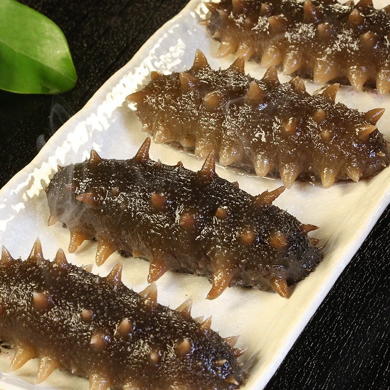 抢拍299元 渔公码头大连鲜食入味即食海参10只礼盒装美味刺参