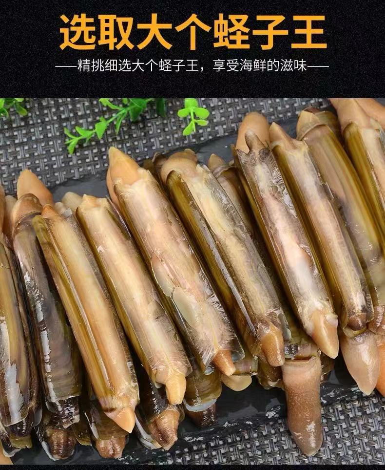 蛏王肉蛏子鲜活大竹节蛏王特大无沙250g贝壳类海鲜水产包邮