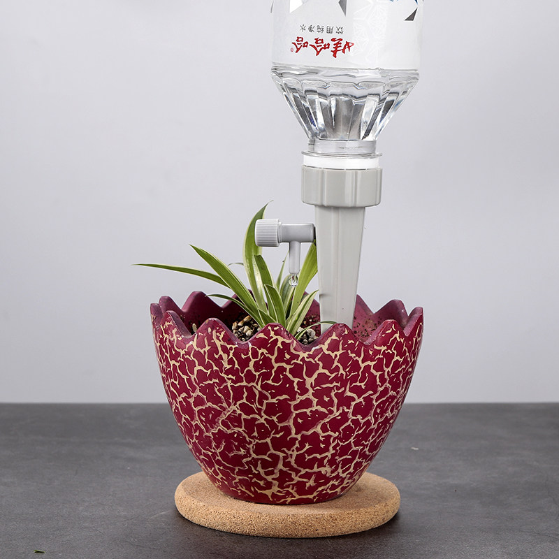 4个装花卉滴灌器懒人自动浇花器出差家用盆栽滴水浇水渗水养护