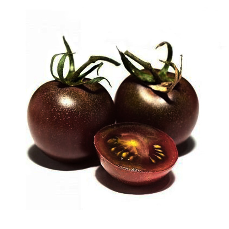 黑珍珠圣女果紫黑樱桃小番茄种子西红柿春播四季盆栽家庭园艺种子
